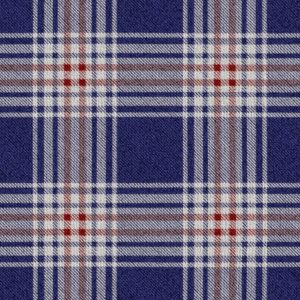 Woven Check